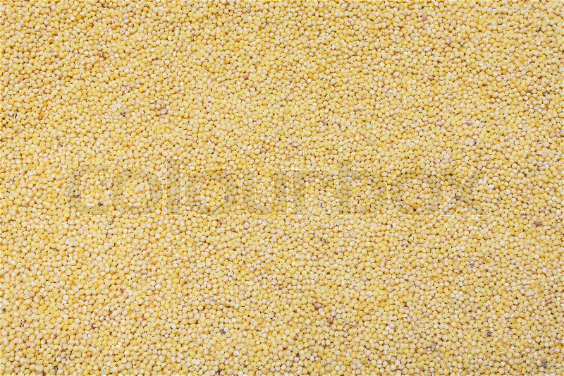 Yellow millet cereal background, texture, stock photo