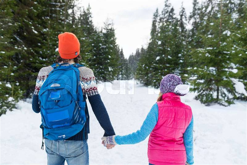 Couple Holding Hands Walking Snow Forest Outdoor Winter Back Rear View Pine Woods, stock photo