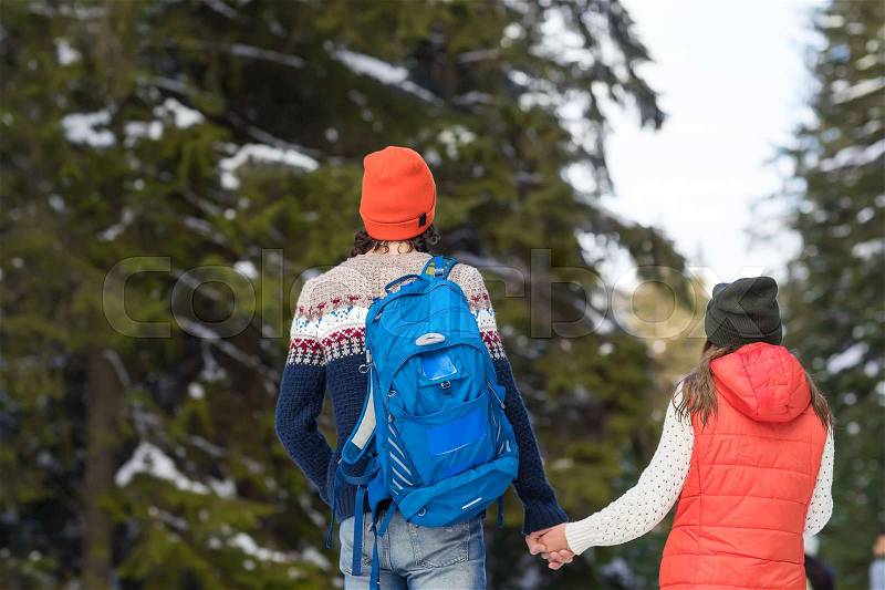 Romantic Couple Snow Forest Outdoor Winter Walk Man And Woman Holding Hands Back Rear View Pine Woods, stock photo