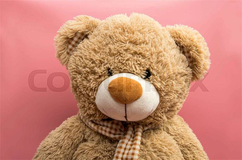 Bear soft toy, isolated on pink background, stock photo