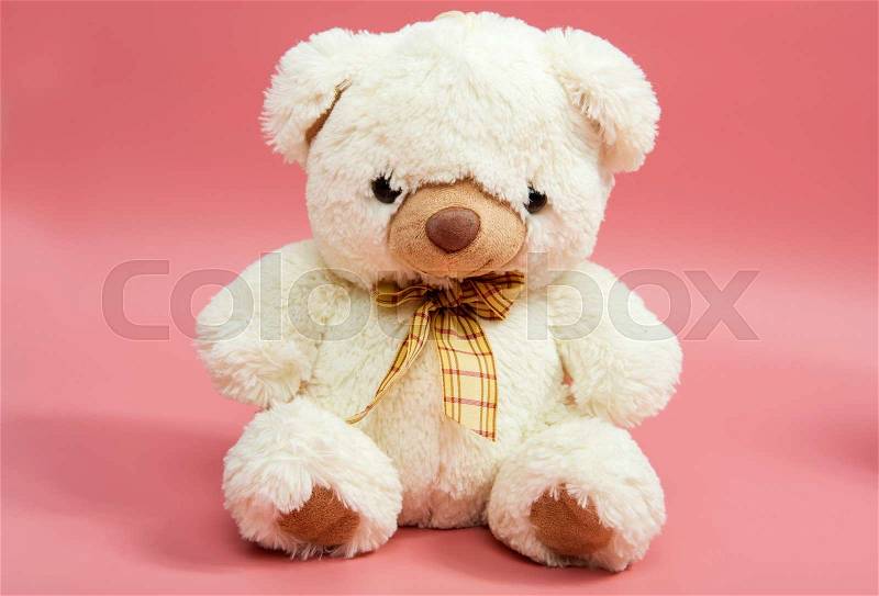 Bear soft toy, isolated on pink background, stock photo