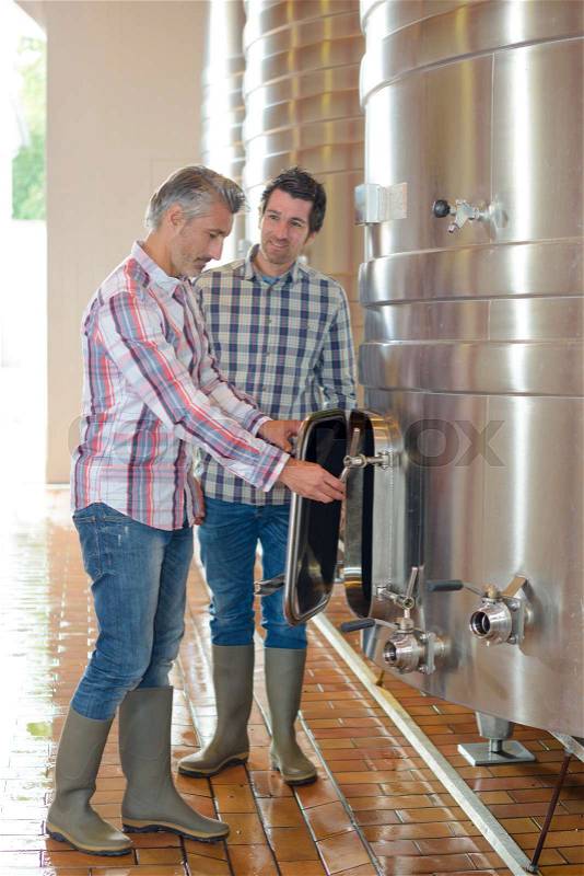Wine producers in vat room, stock photo