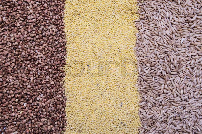 Buckwheat, millet, oat background, texture, stock photo