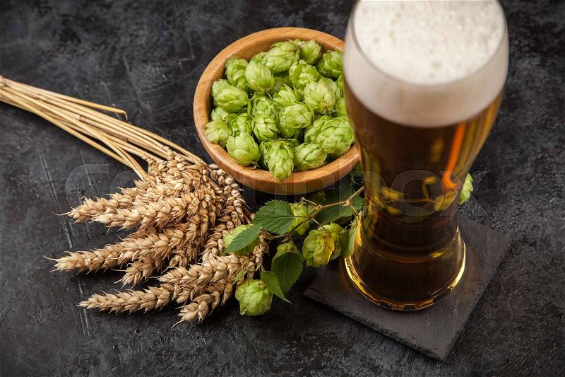 Beer glass with malt and hops, dark background, stock photo