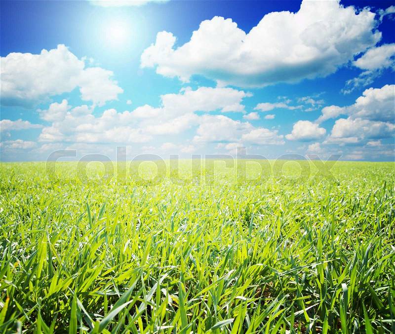 Green and blue color nature field with sun, stock photo