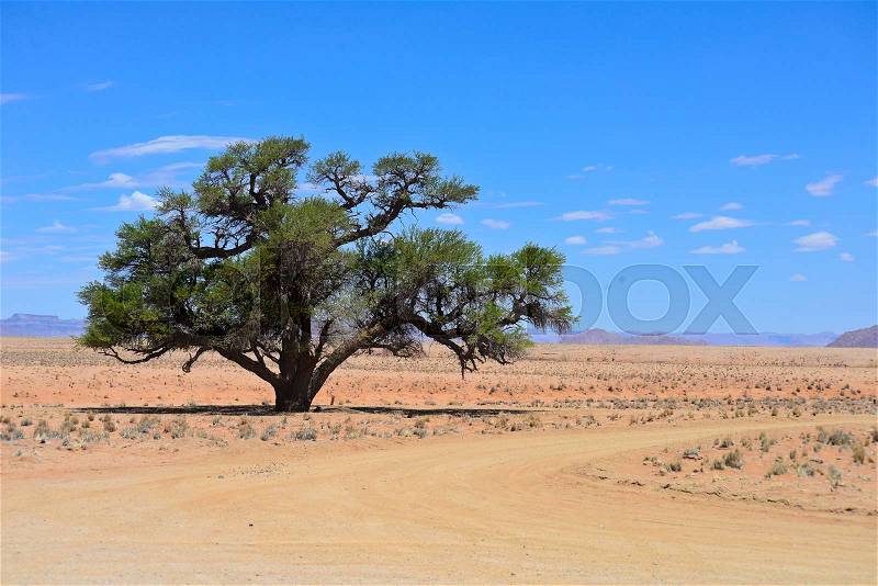 Landscape in Namibia, Africa, stock photo