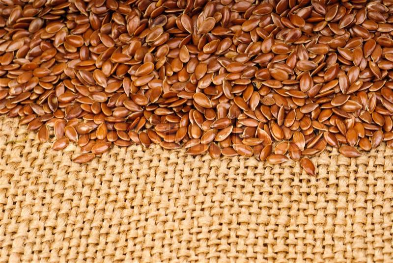 The flax seeds on canvas background, stock photo