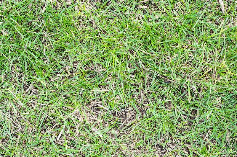 Green grass with earth as texture, stock photo