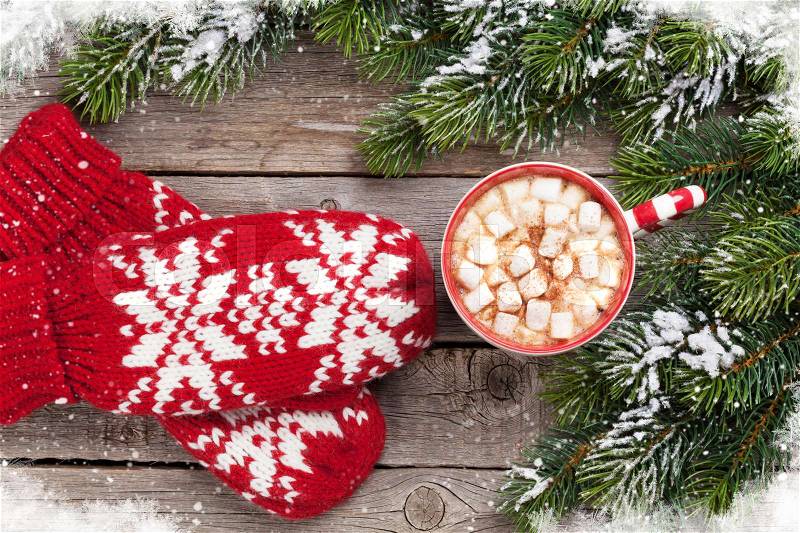 Christmas fir tree, mittens, hot chocolate and marshmallow. Top view, stock photo