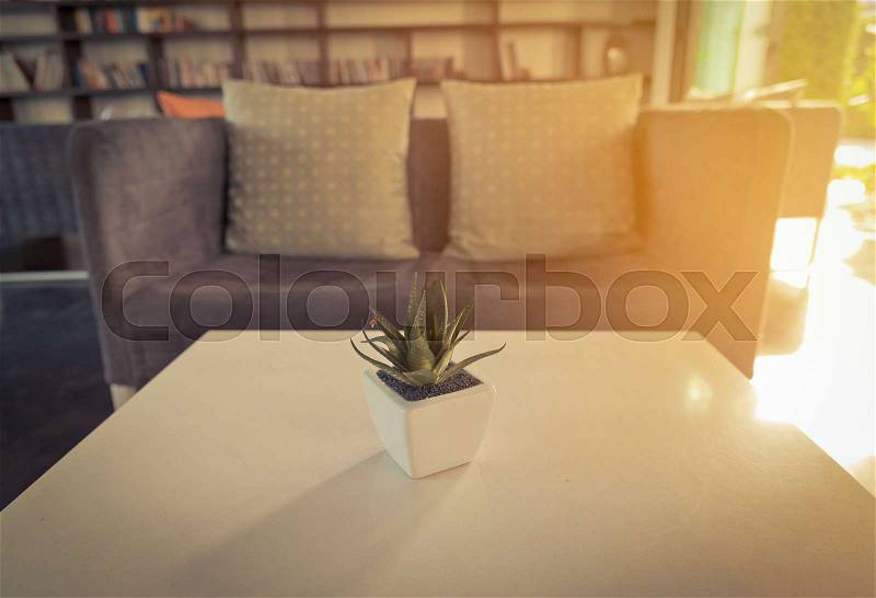 Cactus on wooden table in modern living room. Vintage tone, stock photo