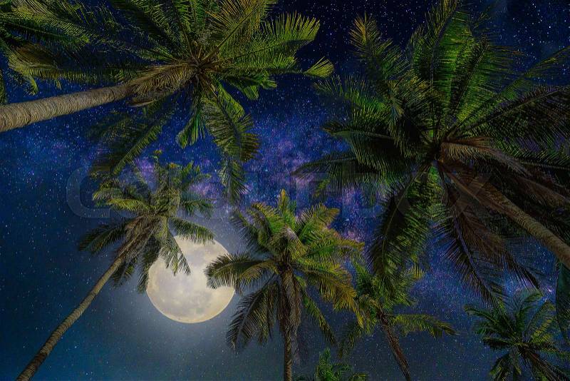 Silhouette coconut palm tree with the full Moon and Milky way galaxy on night sky. (Elements of this moon image furnished by NASA), stock photo