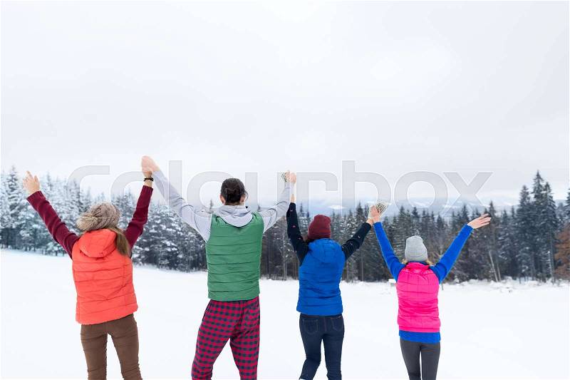 Friends On Mountain Top Winter Snow Forest, Young People Group Cheerful Raised Hands Wood Nature Landscape, stock photo