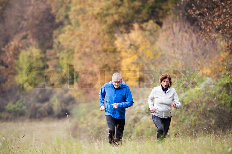 Beautiful active senior couple running together outside in sunny autumn nature, stock photo