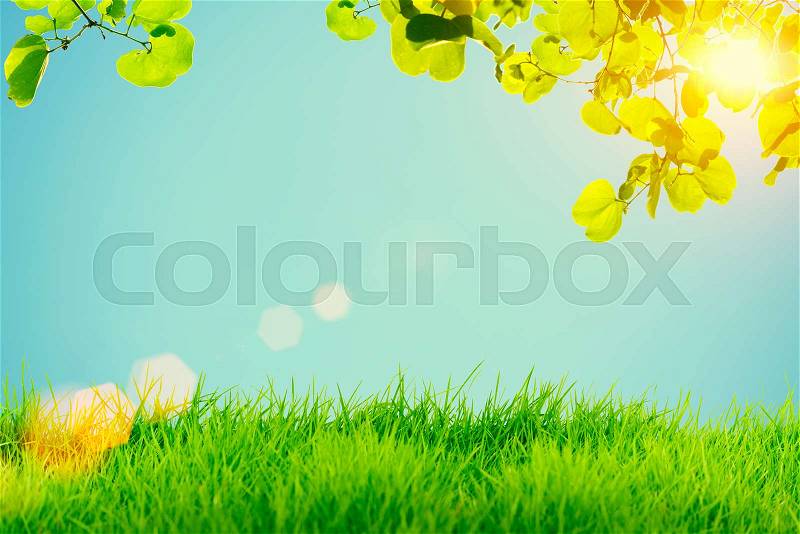 Green grass and green leaves with sun flare on blue sky background, stock photo