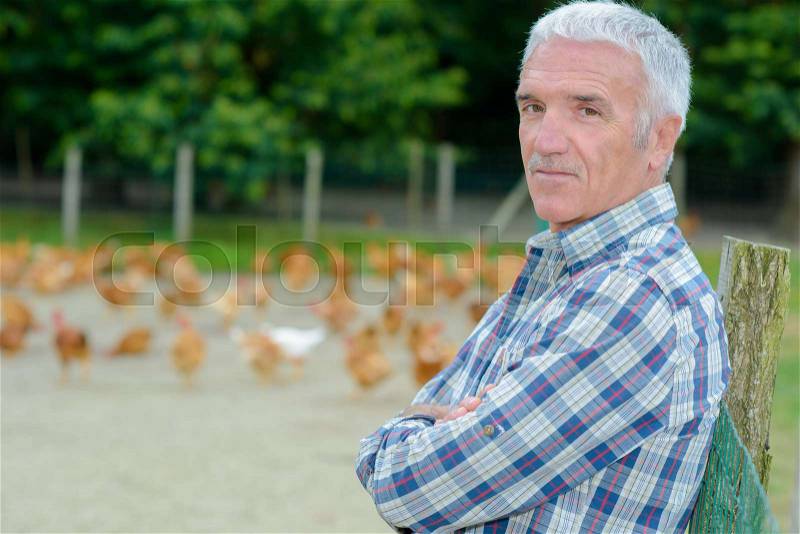 Portrait of poultry farmer, stock photo