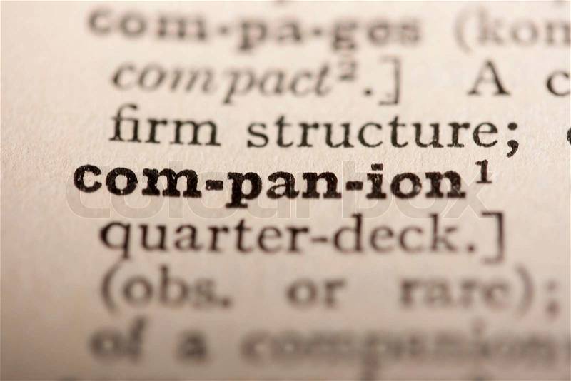 Word companion from the old dictionary, a close up, stock photo