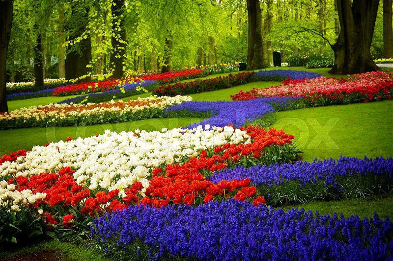 Colorful spring flowers in holland garden Keukenhof, Netherlands, retro toned, stock photo