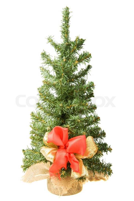 Christmas tree isolated on white background, stock photo