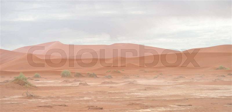Desert landscape, stock photo