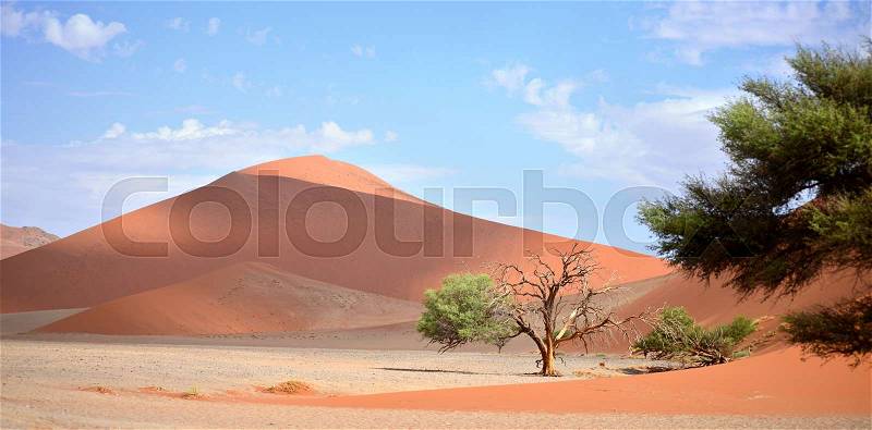 Sand dunes with blue sky, stock photo