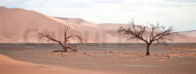 Sand desert, stock photo