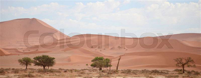 Namib landscape, stock photo