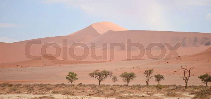 Sand dunes, stock photo