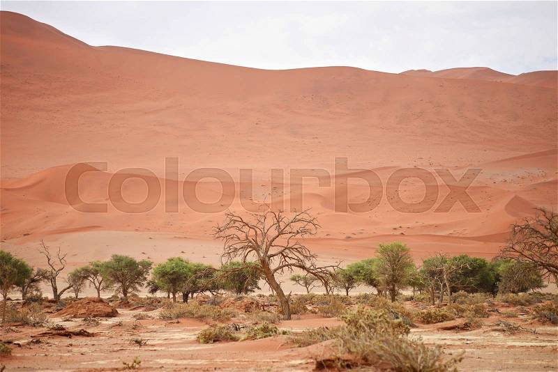 Sand dunes, stock photo