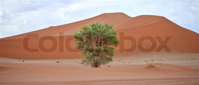 Namibian landscape, stock photo