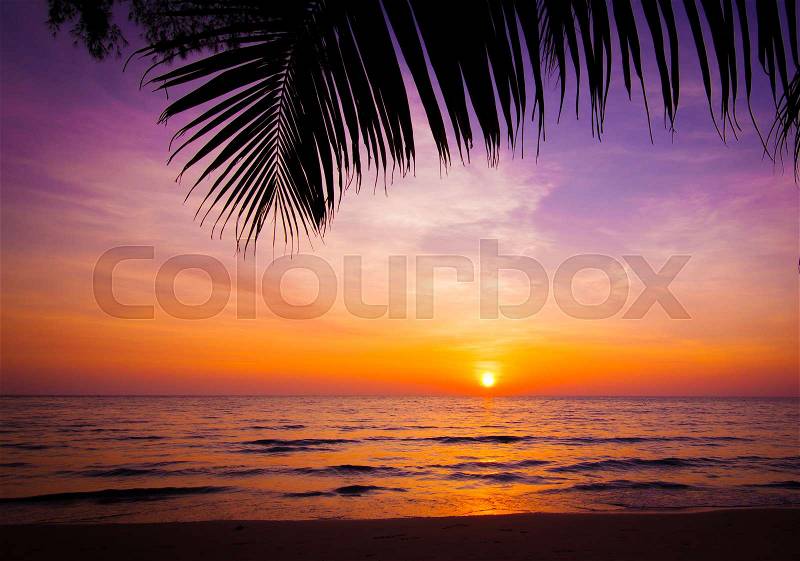 Sunset landscape. beach sunset. sunset on the beach, stock photo