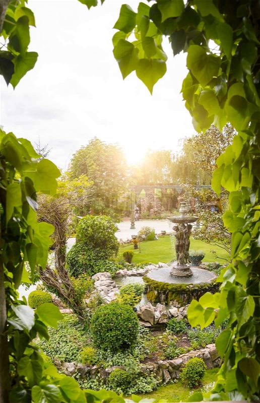 View of the garden from the window entwined with ivy, stock photo