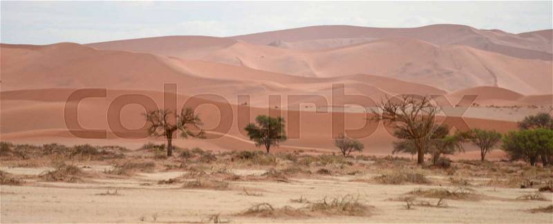 Namib landscape, stock photo