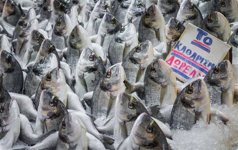 Variety of fish and seafood on local greece market.\\ , stock photo
