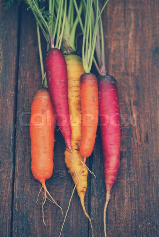 Juicy colored carrots on a wooden table, stock photo