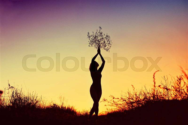 Silhouette of beautiful young woman holding a bouquet over her head at sunset in the, stock photo