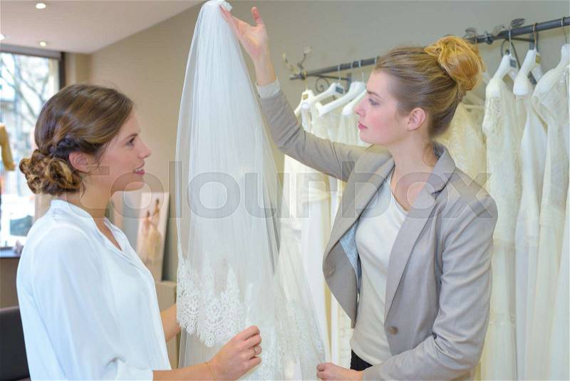 The wedding veil, stock photo
