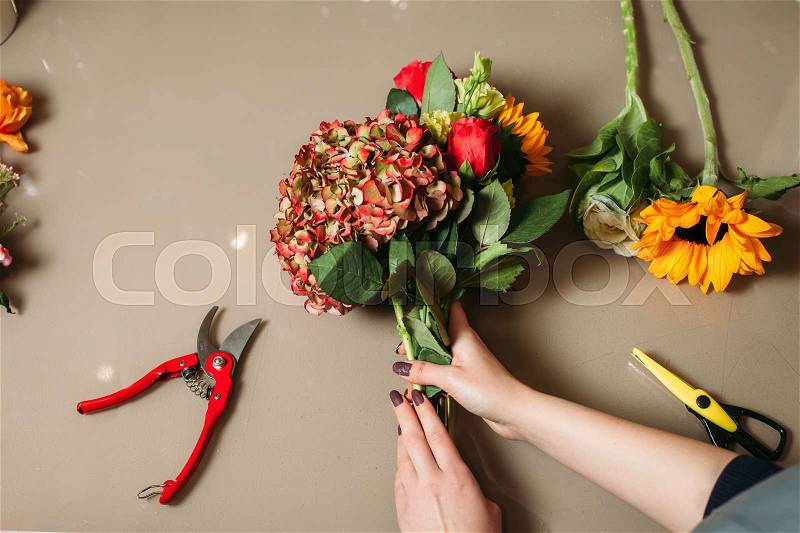 Florist hands cutting rose with garden scissors. Florist creating decorative flower bouquet, stock photo