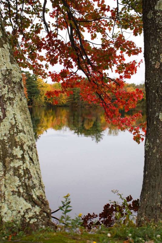 A gorgeous autumn scene with a lake and trees showing the bright colors of fall in New England, stock photo