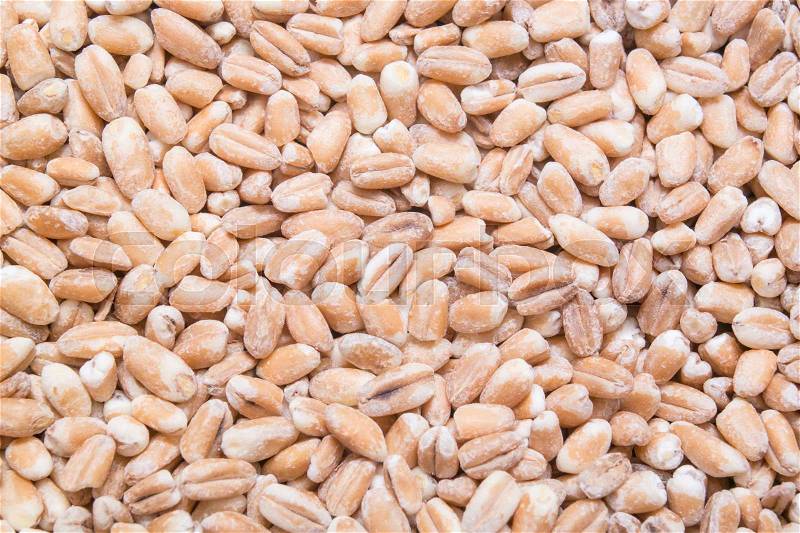 Wheat cereal, grains background or texture, stock photo