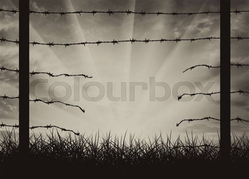 Hole in fence on border nations. Concept illegal border crossing, stock photo