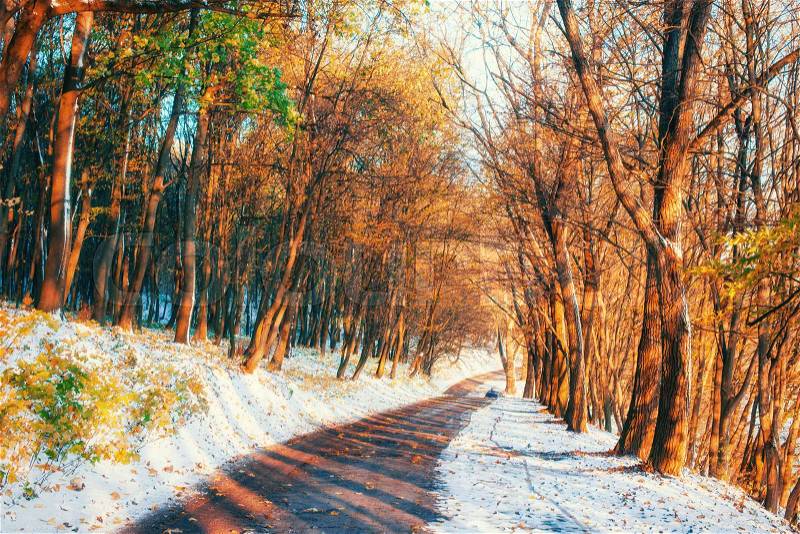 First snow in the forest. Road, stock photo