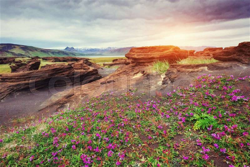 Volcanic rocks in Iceland, stock photo