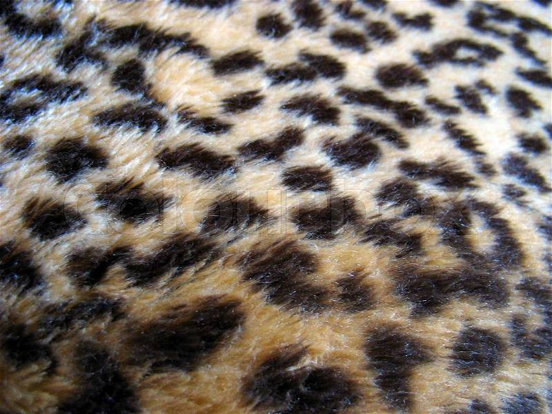 Leopard print fur texture, stock photo