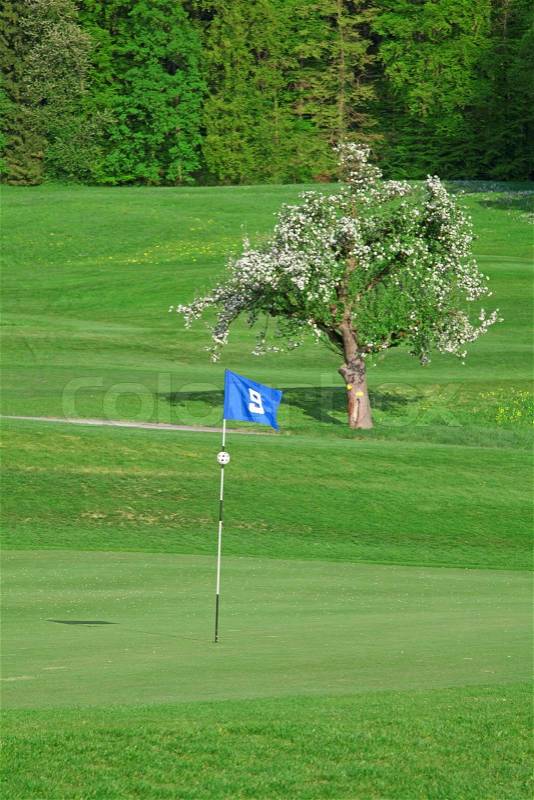 9th flag on the golf course, stock photo