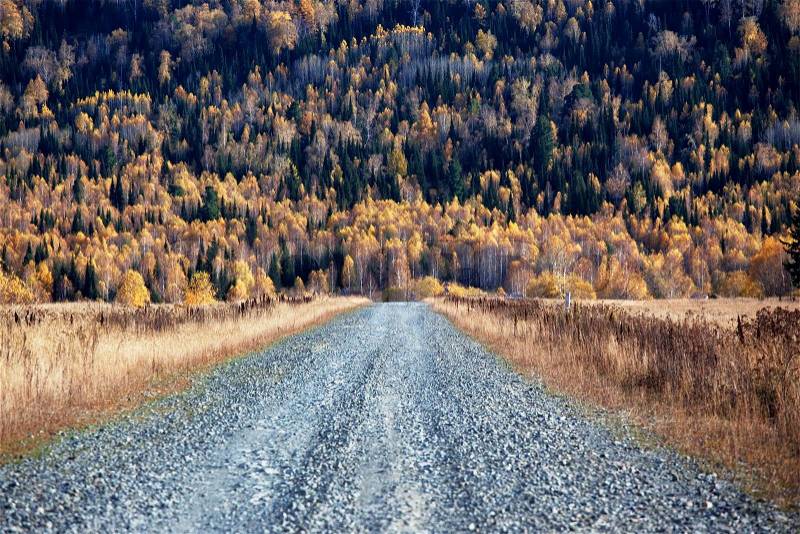 Old country road in autumn mountain forest, Altai mountains, Kazakhstan, stock photo