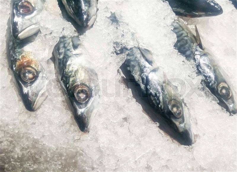 Fresh saba fish frozen on ice, sold in market, stock photo