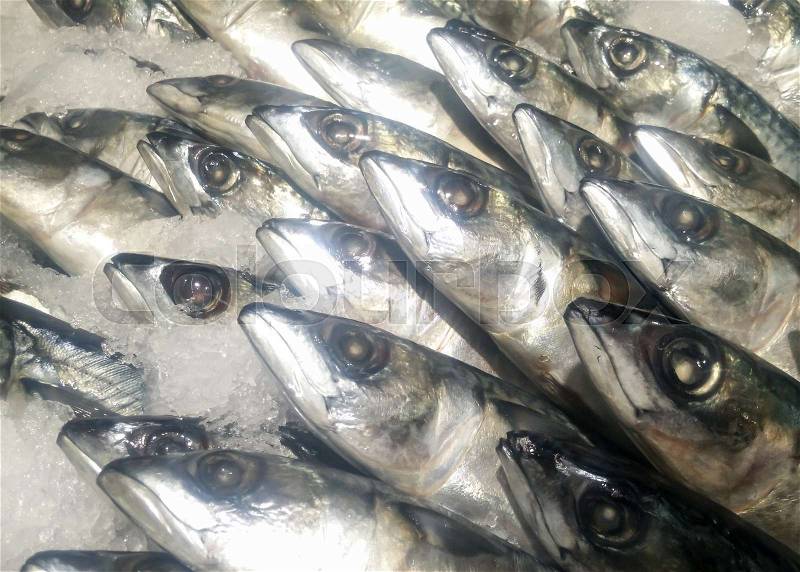 Fresh saba fish frozen on ice, sold in market, stock photo
