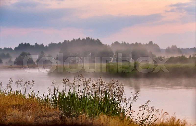 Foggy river in the morning. Misty dawn at summer season. Misty morning scene, stock photo