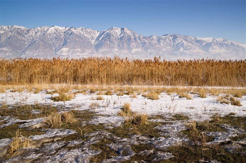 Snow Covered Mountains Behind Lakeside Highway PLant Growth Utah Landscape, stock photo