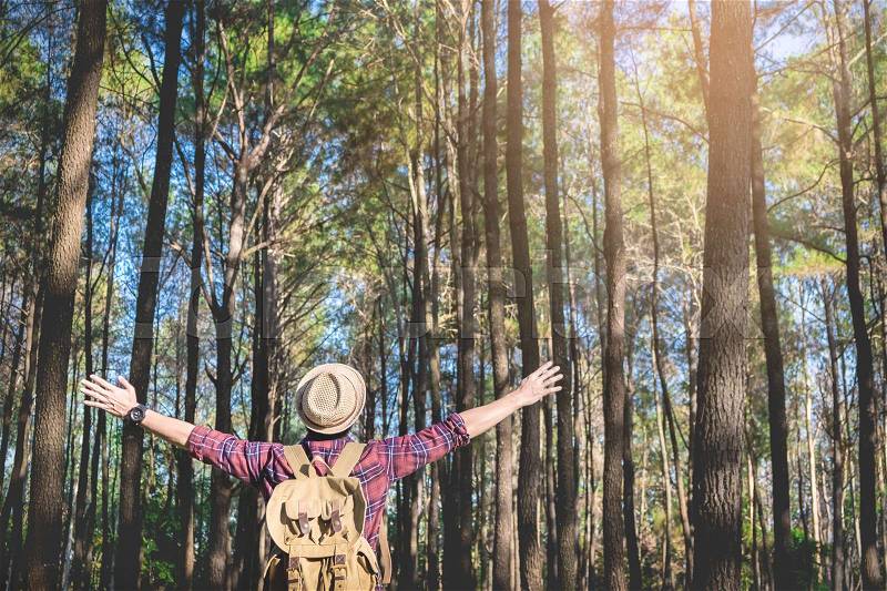 Young Man standing alone in forest outdoor with sunset nature on background Travel Lifestyle and survival concept, stock photo